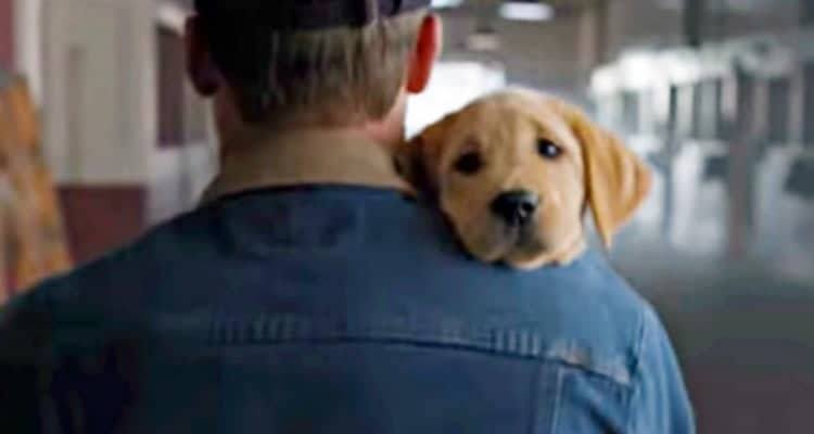 L’incontro tra Puppy e la sua amica