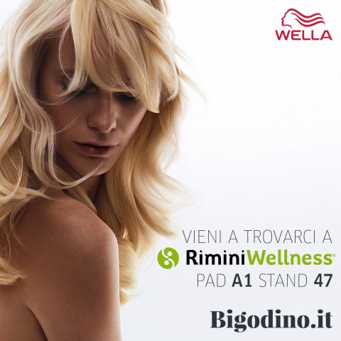 RiminiWellness