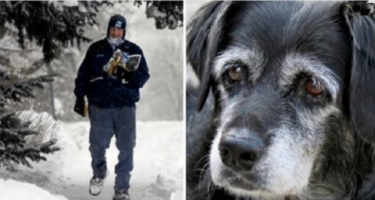 Il cane Tashi e il suo amico postino