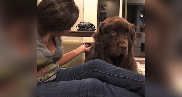 Ralphie è arrabbiato con la sua mamma