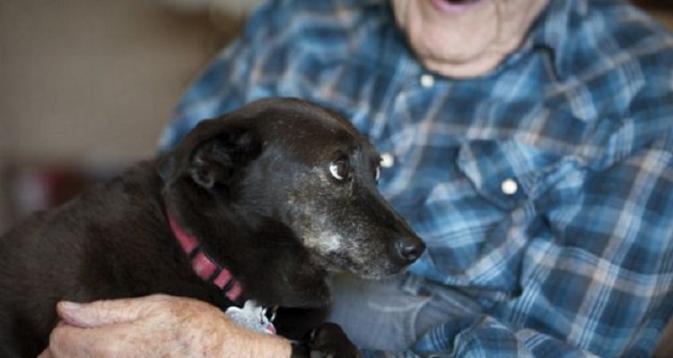 Cane trasforma la vita di un uomo di 104 anni