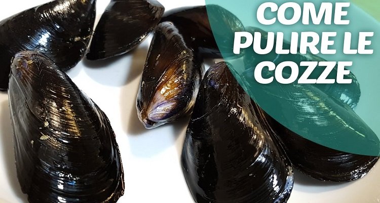 Come pulire le cozze in pochi minuti: davvero geniale