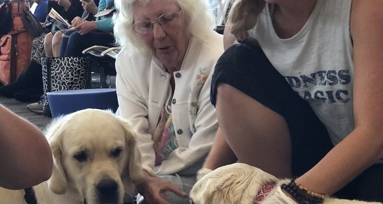 Ellie, la cagnolina ha partorito in un aeroporto di Florida