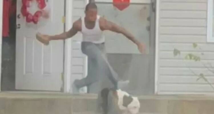 Dan corri a casa per favore, è entrato quello schifo di cane, guarda che cosa mi ha fatto