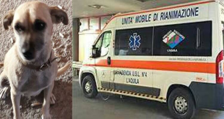 Donna si lancia dal balcone del terzo piano, in casa ritrovano il suo cane che