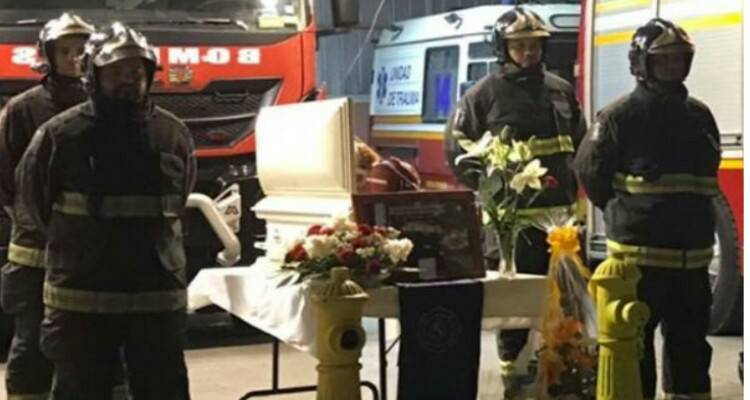 Nero, il pompiere che non diventò mai un vero pompiere