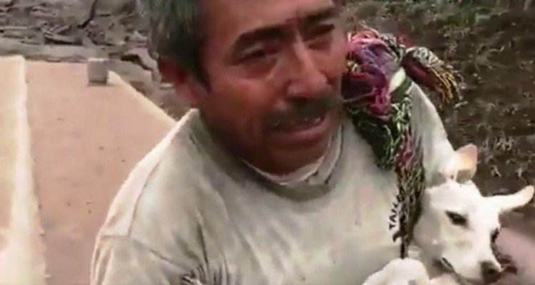 L’uomo salva in suo amato cane durante l’eruzione del vulcano