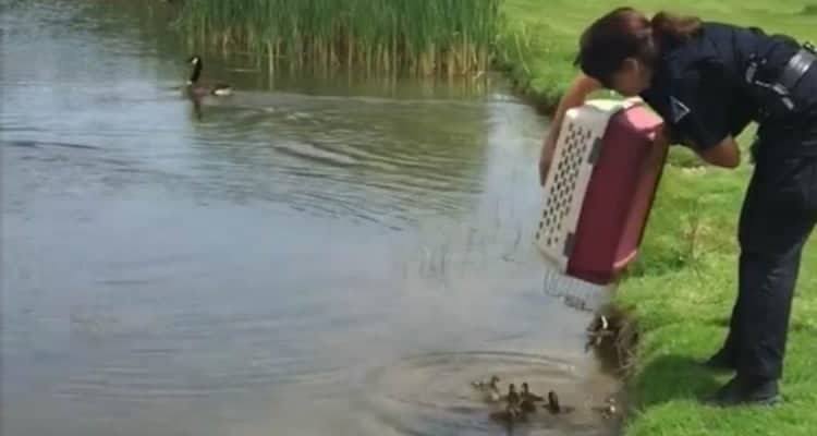 L’ufficiale di polizia viene filmata a scaricare dei poveri animali nel lago