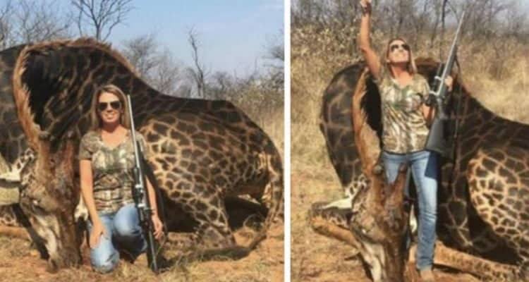 Quello che fanno i cacciatori di trofei in Africa