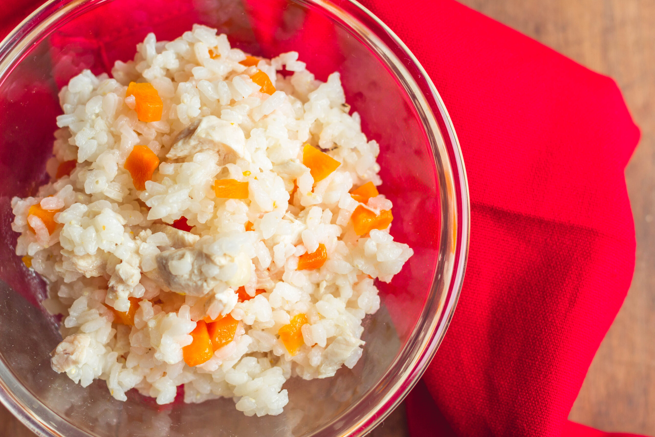 Cucina a Quattro Zampe: pappa di riso e carote per cani