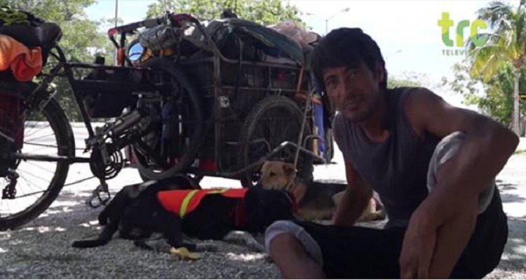 L’uomo che salva i cani in Messico: la storia di Edgardo Perros