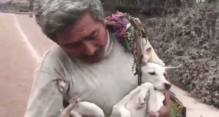 Don Ignacio, l’uomo coraggioso che ha affrontato la furia della natura per il suo cane