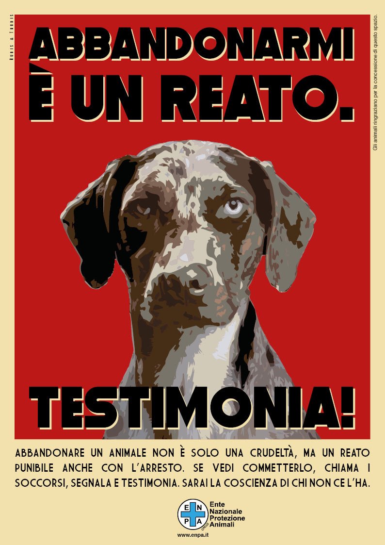 La campagna Enpa contro l'abbandono dei cani e dei gatti in estate ...