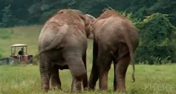 Dopo venti anni di separazione, Jenny e Shirley vengono finalmente riunite