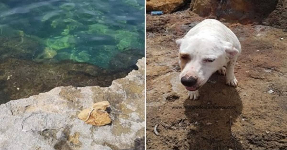 Con una pietra al collo, la getta in mare: “volevo solo che facesse il bagno”