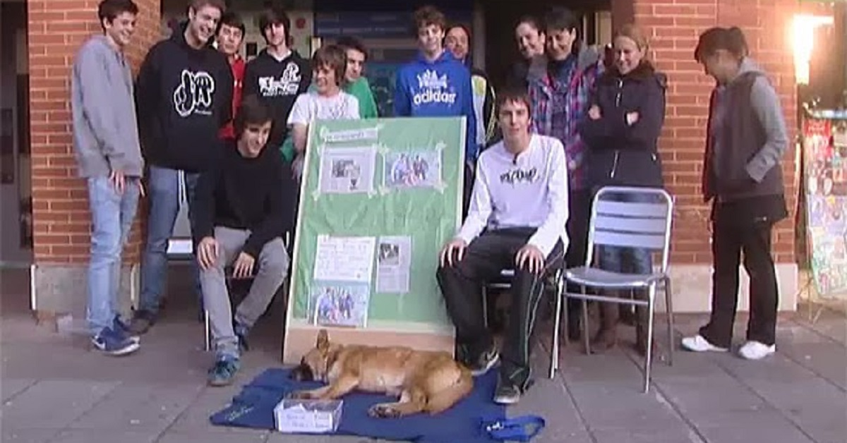Grifa, la cagnolina salvata dai ragazzi di Oviedo