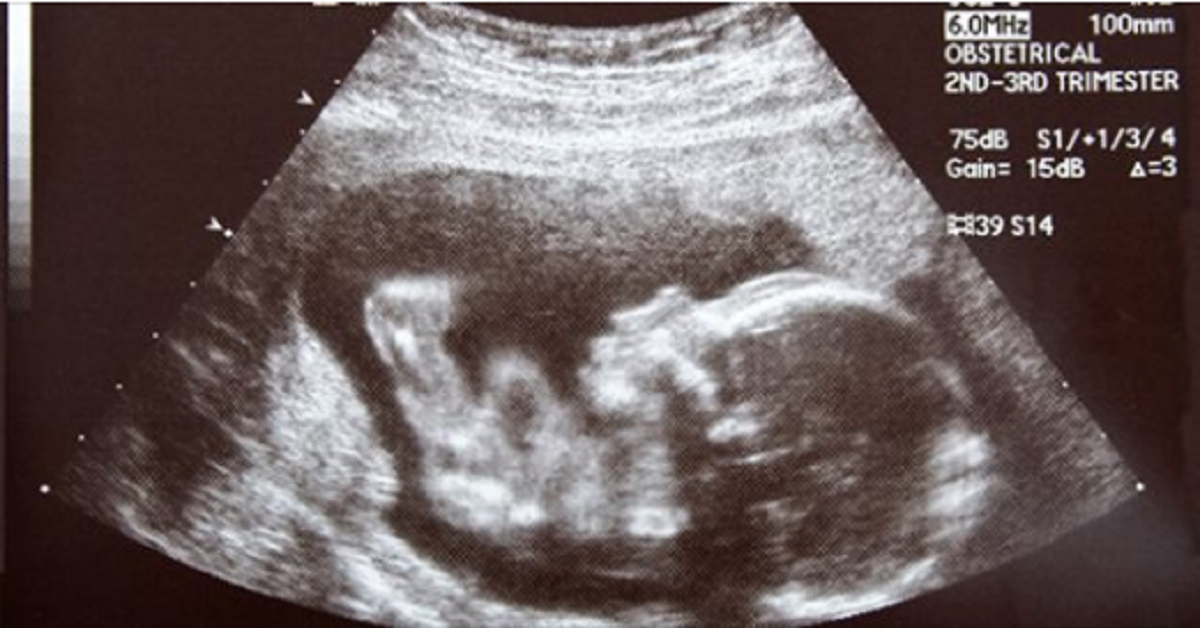 Cosa sente il bambino nella pancia quando fai l’amore