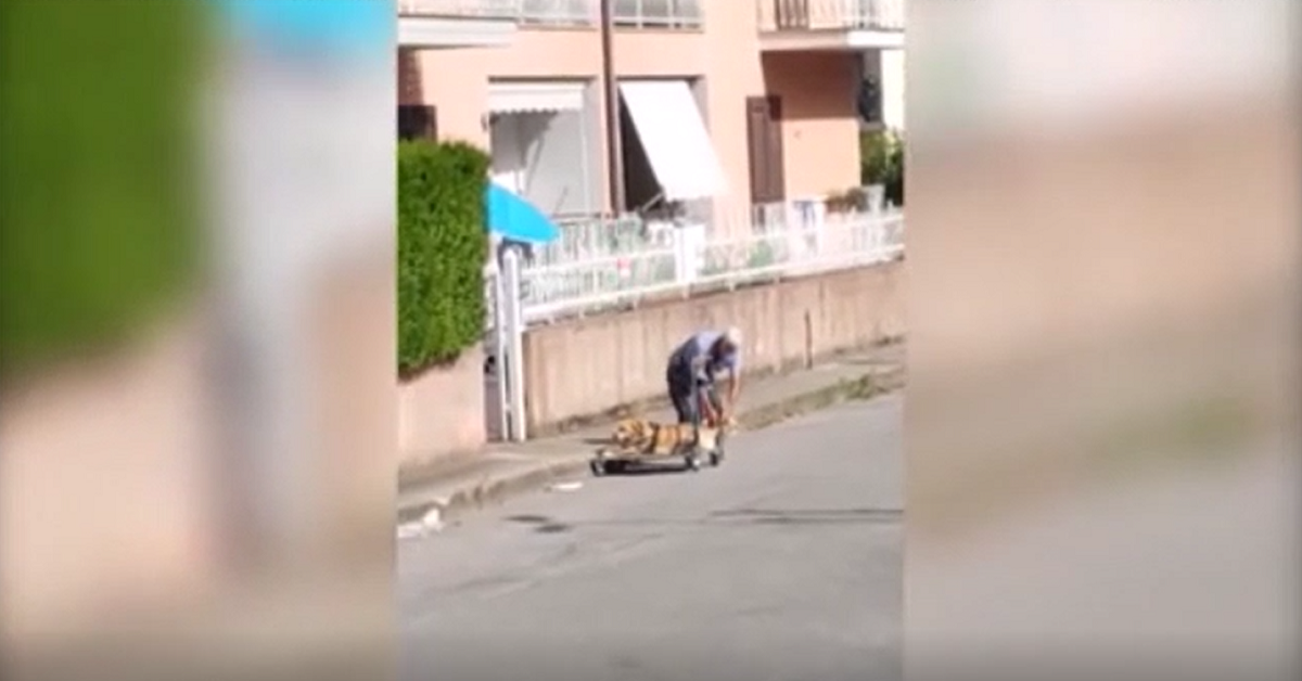 Il cane di Vibo Valentia non ha più la salute ma ha ancora l’amore del suo papà umano