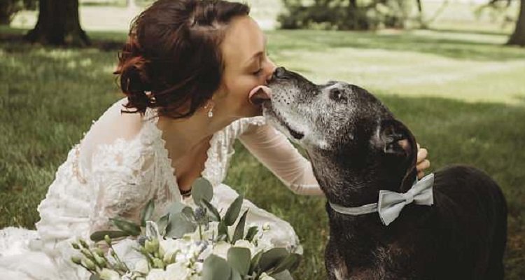“Volevo facesse parte del nostro grande giorno”: cane terminale va all’altare dopo aver salvato lei dal cancro