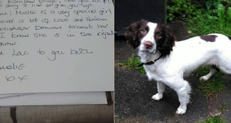 Il proprietario malato terminale lascia una lettera commovente per il cane che sta per abbandonare