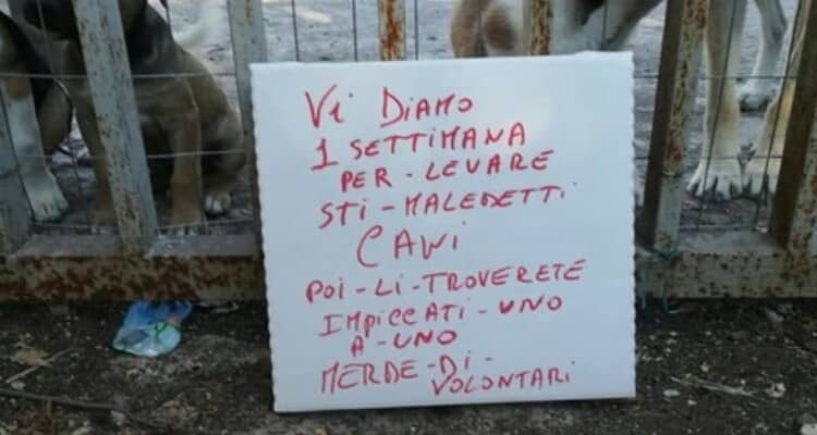 “Ve li appendiamo tutti”