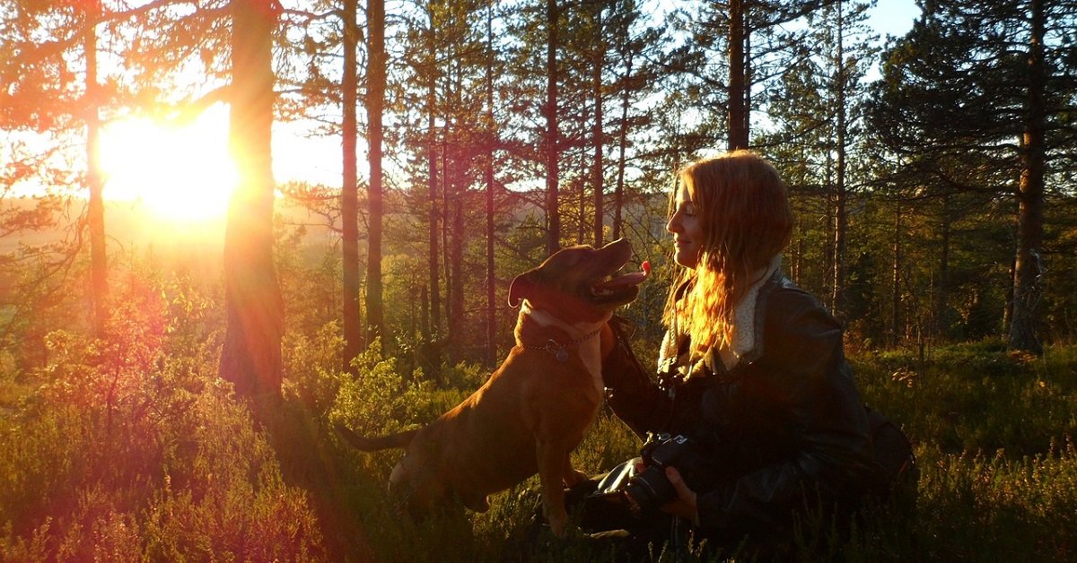 Dogbuddy, il migliore amico del nostro cane