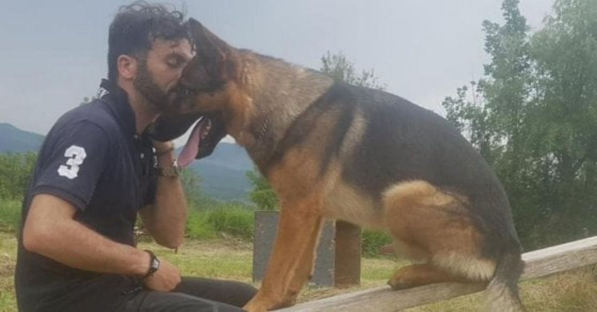 I risultati dell’autopsia su Kaos, il cane eroe di Amatrice