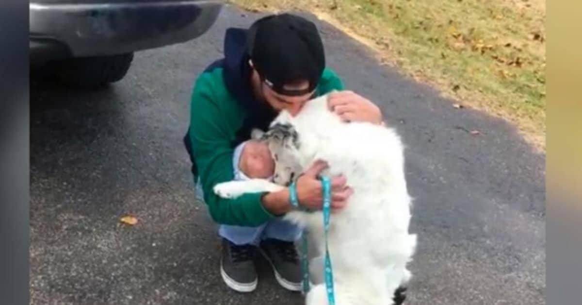 Il cane Zig non riesce a smettere di abbracciare il suo nuovo amico umano