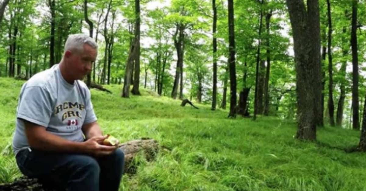 L’uomo siede da solo nella foresta, quando viene circondato