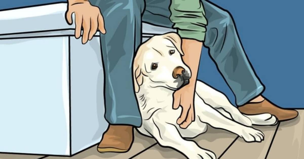 I modi che il tuo cane usa per comunicare con te