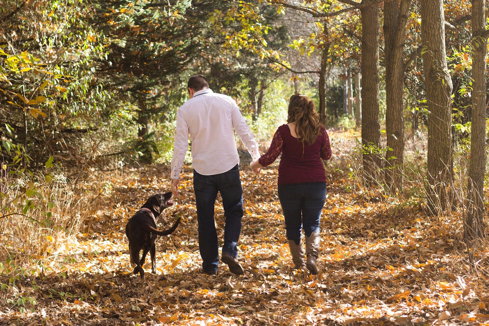 Passeggiata di famiglia con cane nel bosco