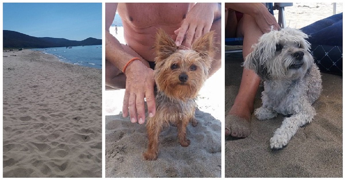 Un ferragosto con multa