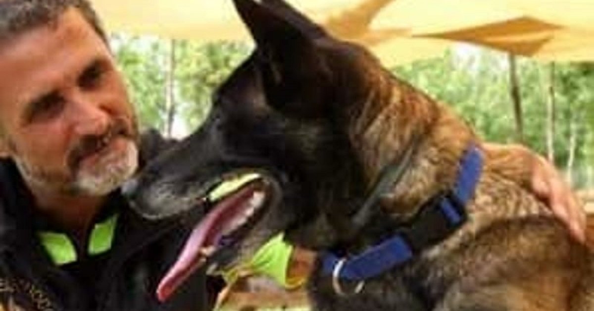 Scompare Raja, cane eroe che dopo il terremoto di Ischia aveva salvato tre fratellini