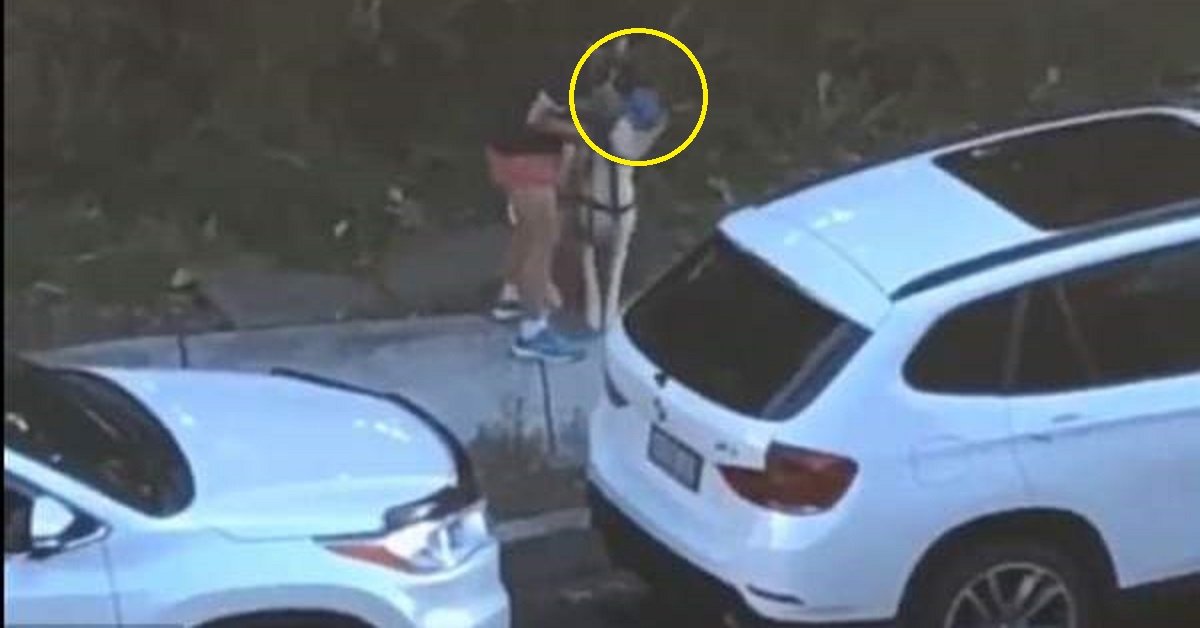 Tutti alla ricerca della donna con il levriero ma poi arriva la sorpresa