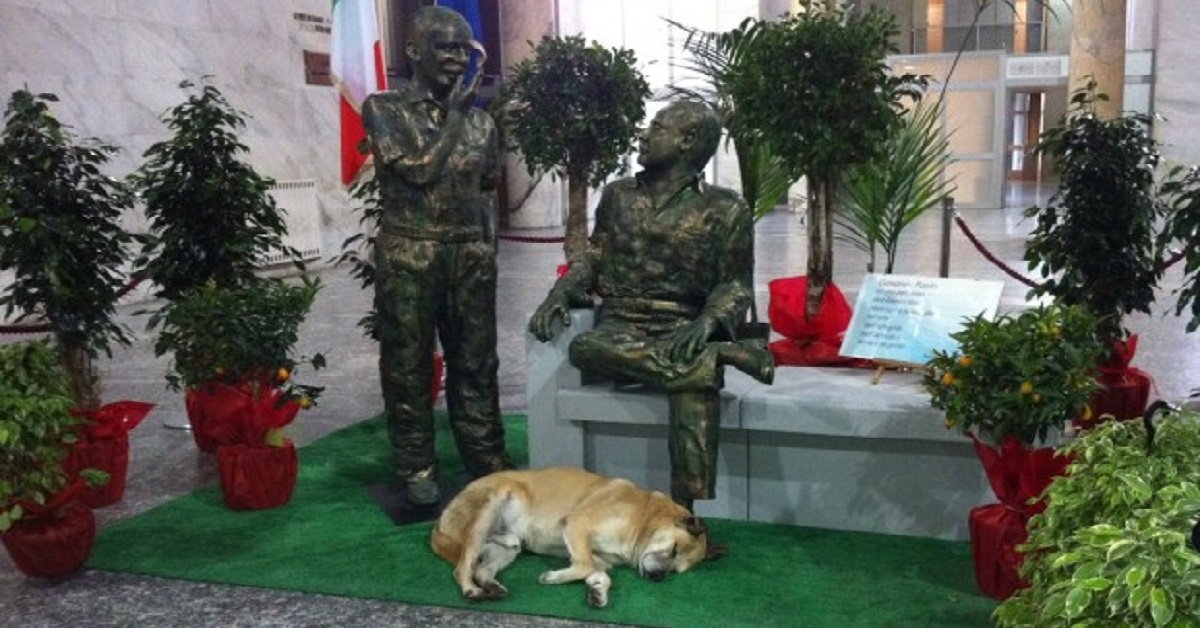 Palermo: Uccio, il cane che vegliava le statue di Falcone e Borsellino, ha messo le ali
