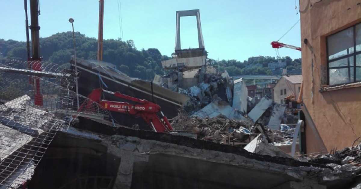 Crollo ponte Morandi a Genova: salvati in extremis due gattini