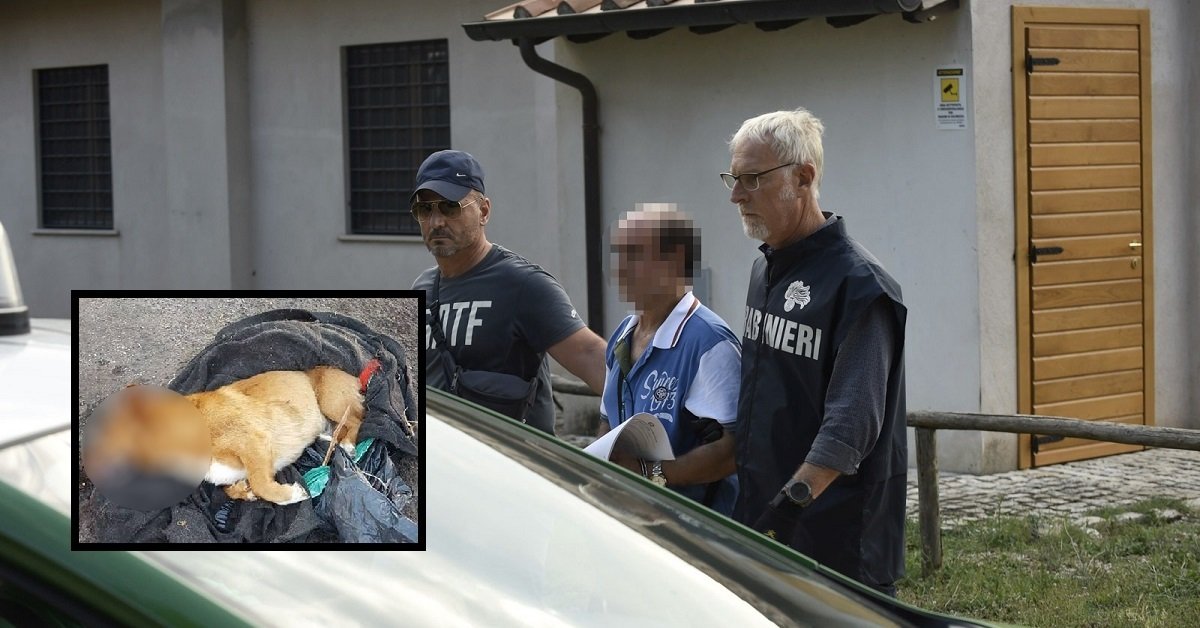 Lucky adesso avrà finalmente giustizia