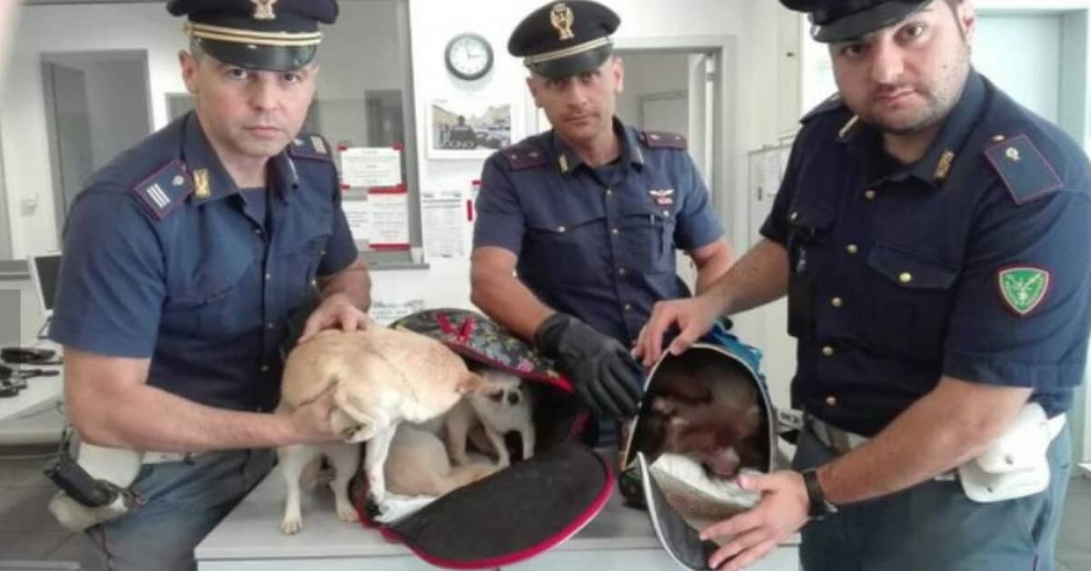 Scendono a Bologna da un volo proveniente da Mosca e vengono fermate