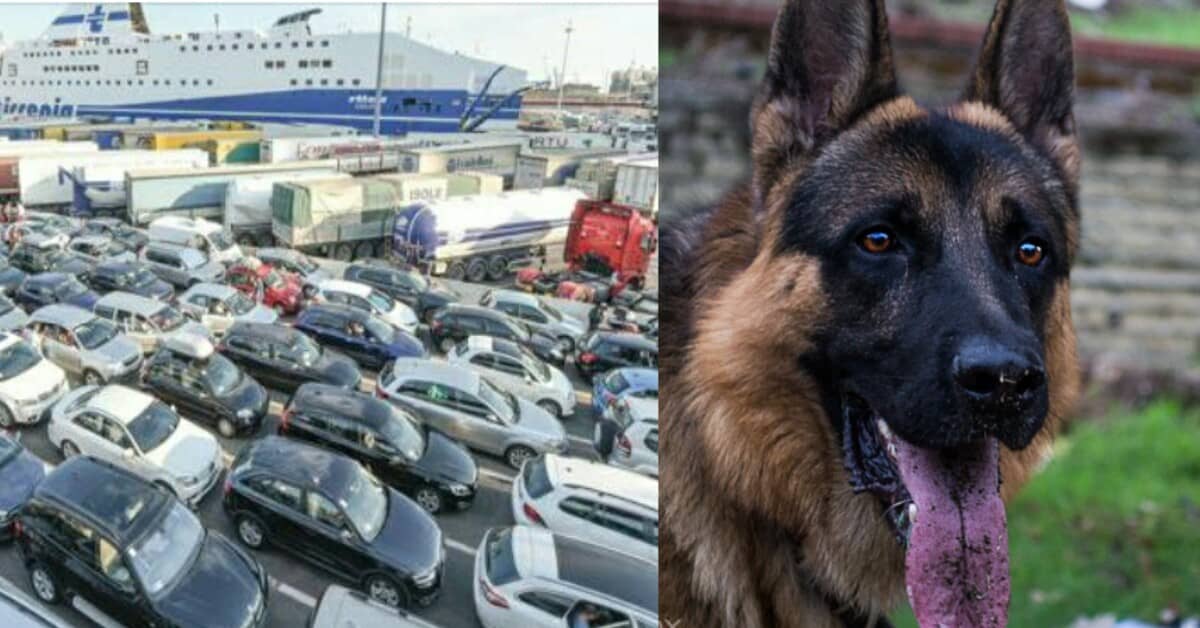 Genova – E’ successo durante la fila al terminal per prendere il traghetto.