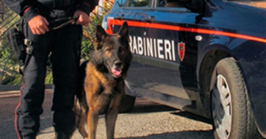 La Spezia, cane lasciato in auto