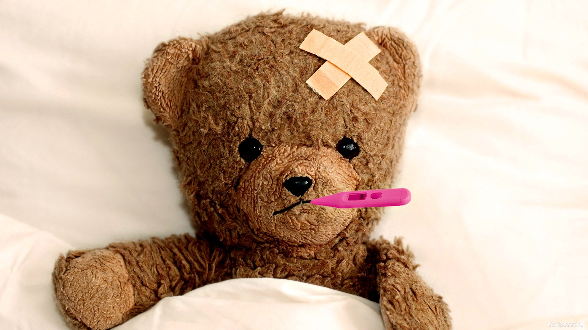 L’Ospedale di Vercelli cerca peluche per la pediatria