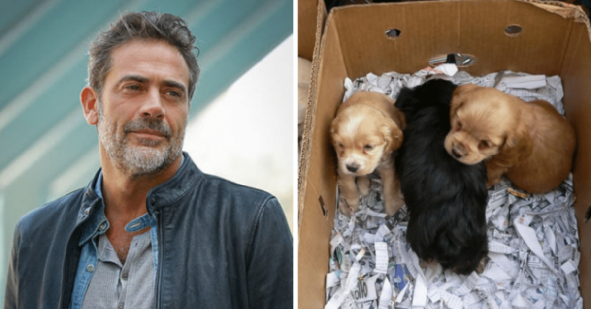 Jeffery Dean Morgan e il suo grande amore per gli animali