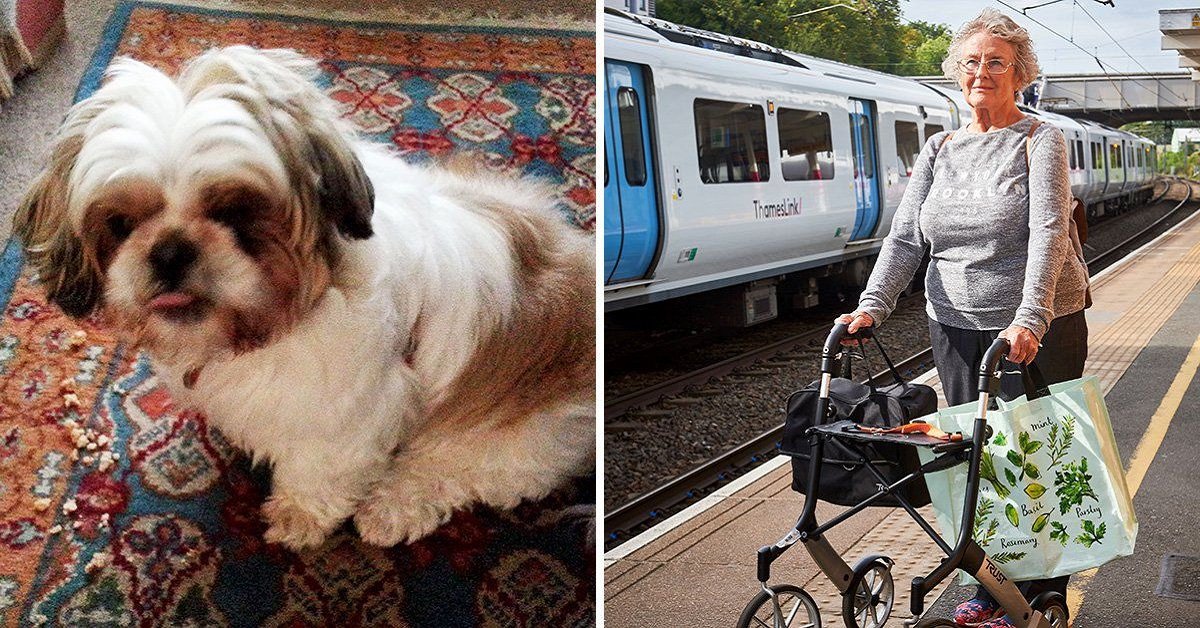Cane perde la vita dopo che il  suo guinzaglio rimane intrappolato nella porta del treno