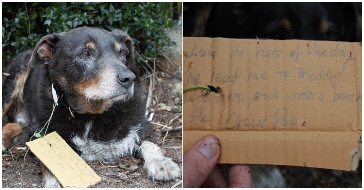 Louie e Maddy, due amici per la pelle