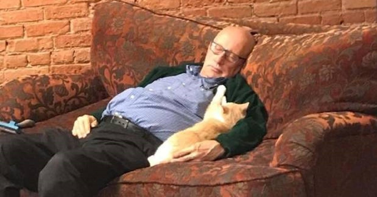 Terry-Lauerman-uomo-dorme-con-i-gatti