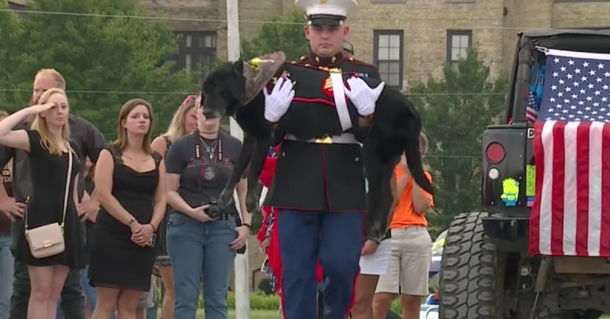 L’ultimo saluto a Cena, il cane dei Marines, che ha perso la sua battaglia contro una terribile malattia