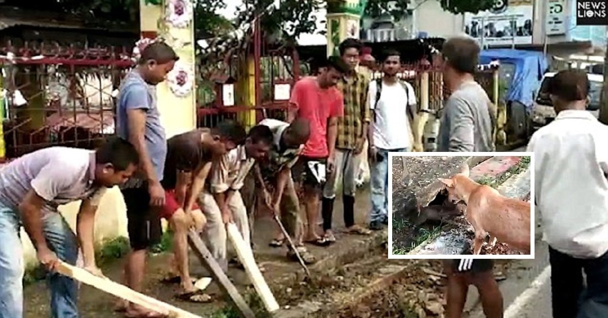 Il salvataggio dei cuccioli di Tezpur