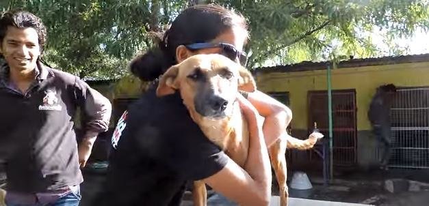 il-salvataggio-del-cagnolino-caduto-nel-pozzo 3