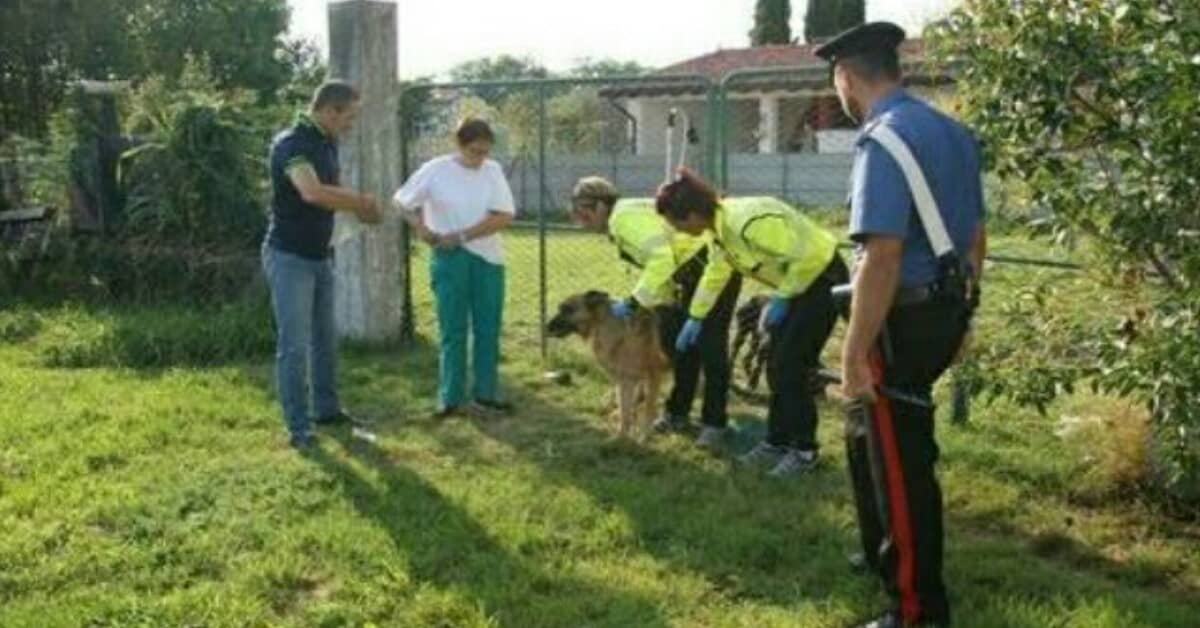 Carabinieri intervengono in casa privata per una segnalazione