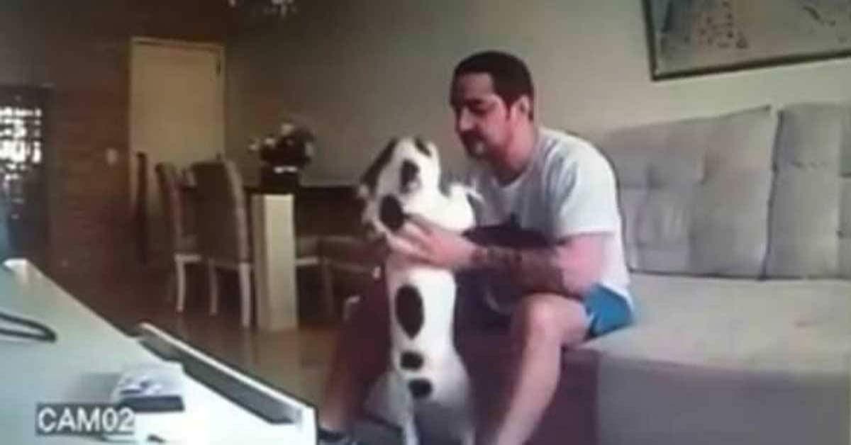 Quello che l’uomo faceva ai cagnolini di Ninna